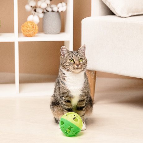 VETTA Игрушка для домашних животных, пластмасса, 9,5 см