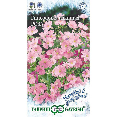 Гипсофила Роза изащн. Гавриш Ц