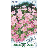 Гипсофила Роза изащн. Гавриш Ц