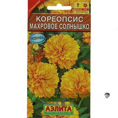 Кореопсис Махровое солнышко Аэлита Ц