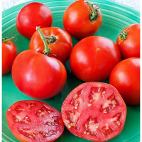 Семена Томат 3 рубля километр Гавриш Бх20