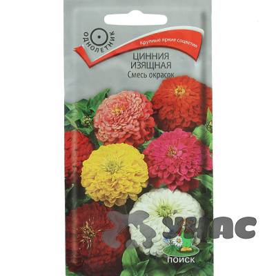Циния Смесь окрасок изящная Поиск Ц