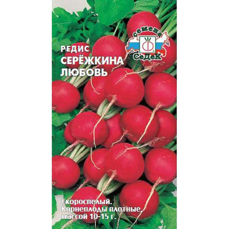 Редис Сережкина любовь Седек Ц