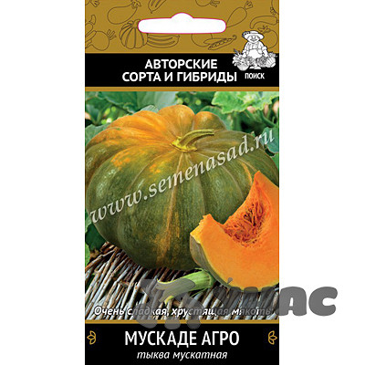 Тыква Мускадэ Агро мускатная Поиск Ц