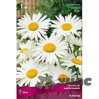 Нивяник Аляска Поиск Ц