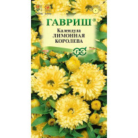 Календула Лимонная королева Гавриш Цх10