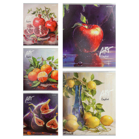 Тетрадь 48л. в клетку, офсет, обл. мел.картон, скрепка, твин лак, микс