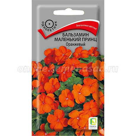 Бальзамин Маленький принц Оранжевый Поиск Ц