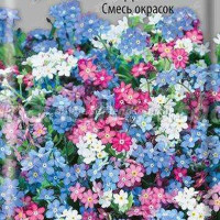 Незабудка смесь окрасок Поиск Ц