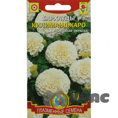 Бархатцы Килиманджаро Плазма Ц