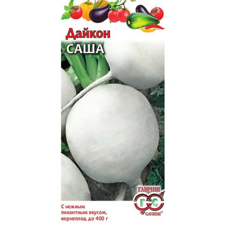 Дайкон Саша Гавриш Ц