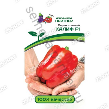 Перец Халиф Партнер Ц