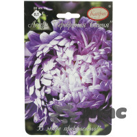 К Астра Серебряная Башня Каприс