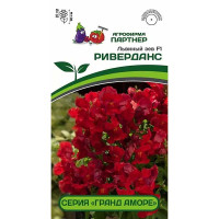 Львиный Зев Гранд Аморе Риверданс Партнер Ц