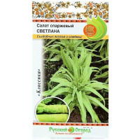Салат Светлана спаржевый НК Ц