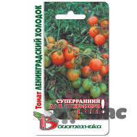 Семена Томат Ленинградский Холодок Биотехника