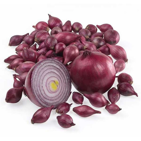 Лук-севок КАРМЕН 10-21 20кг+/-5%(цена за мешок) РОССИЯ