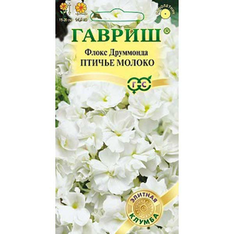 Флокс Друммонда Птичье молоко (элит.сер)  Гавриш Ц