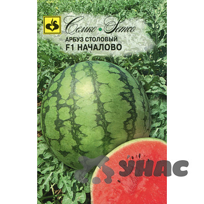 Арбуз Началово Семко Ц