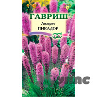 Лиатрис Пикадор Гавриш Ц