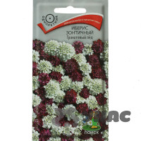 Иберис Гранатовый Лед Поиск Ц