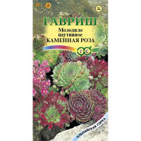 Молодило Каменная роза, Альп. горка Гавриш Ц