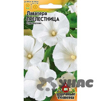 Лаватера Прелестница Удач сем Гавриш Ц
