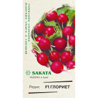 Редис Глориет Гавриш Ц