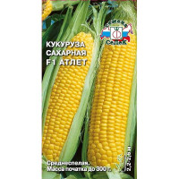 Кукуруза Атлет (сахарн) Седек Ц