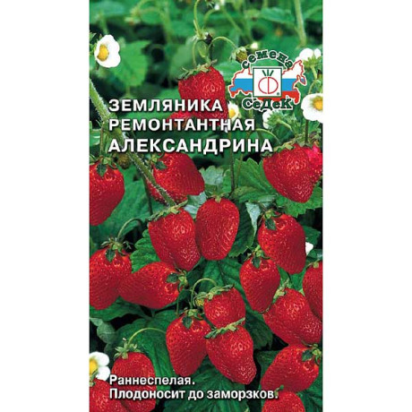 Земляника Александрина Седек Ц