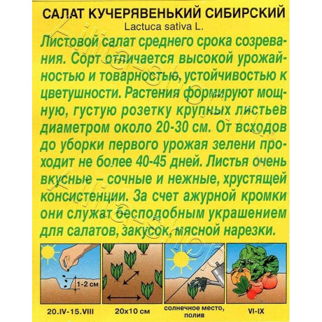Семена Салат Кучерявенький сибирский Аэлита Ц