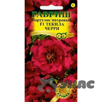 Портулак Текила Черри Гавриш Ц