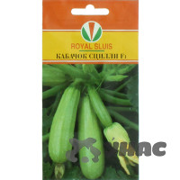 Кабачок Сцилли Маринда/Акварель Ц