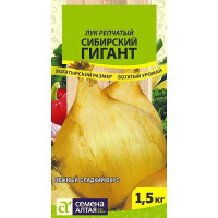 Лук Сибирский гигант СемАлт Ц