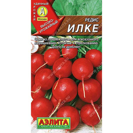 Редис Илке Аэлита Ц