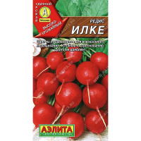 Редис Илке Аэлита Ц