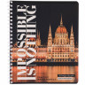 Тетрадь общая 48 листов в клетку, блок№2, обложка картон, спираль