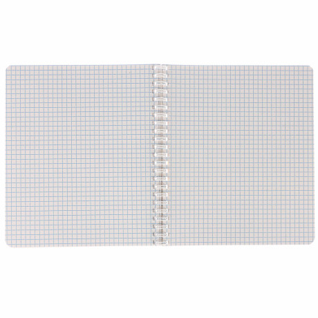 Тетрадь общая 48 листов в клетку, блок№2, обложка картон, спираль