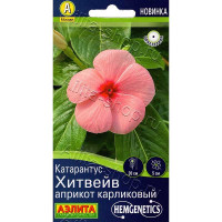 Катарантус Хитвейв априкот карликовый Аэлита Цх10