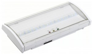 Светильник аварийный ДПА 5040-1, NI-CD, пост.,1ч,IP54, IEK