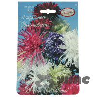 К Астра Вдохновение смесь Каприс