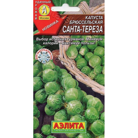 Семена Капуста брюссельская Санта-Тереза Аэлита Ц x10