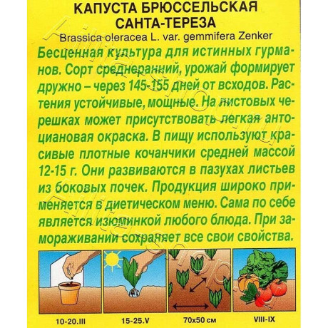 Семена Капуста брюссельская Санта-Тереза Аэлита Ц x10