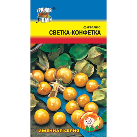 Физалис Светка-конфетка Урожай у дачи Ц