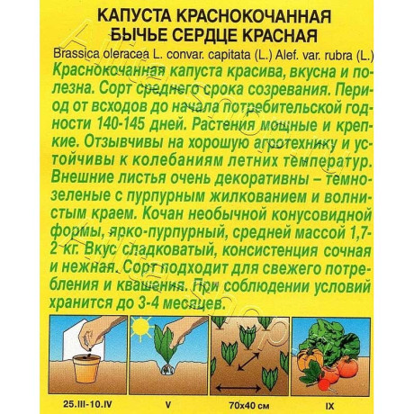 Семена Капуста к/к Бычье сердце красное Аэлита Ц