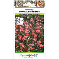Пенстемон Коралловый вихрь НК Ц