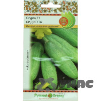 Огурец Бидретта НК Ц