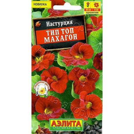 Настурция Тип Топ махагон Аэлита Ц