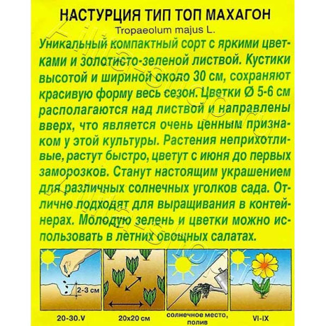 Настурция Тип Топ махагон Аэлита Ц