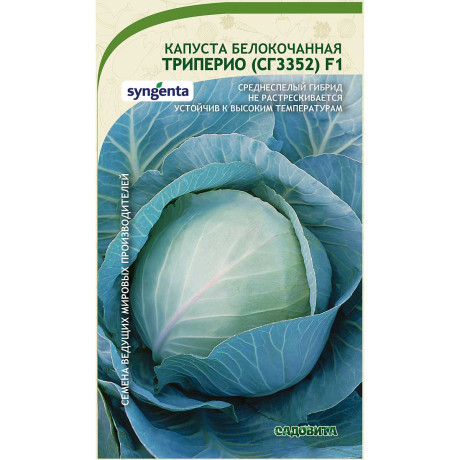 Капуста Триперио (СГ3352) F1 Syngenta/Садовита Ц